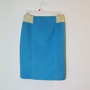 Carlisle Sky Blue Wool Skirt